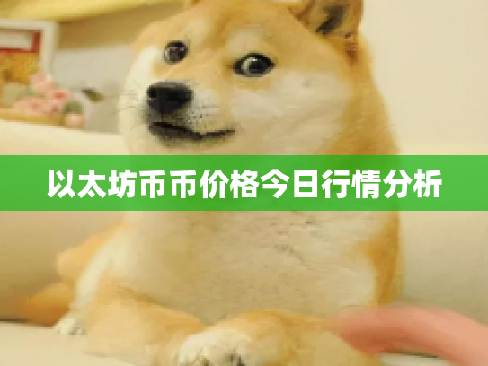 以太坊币币价格今日行情分析