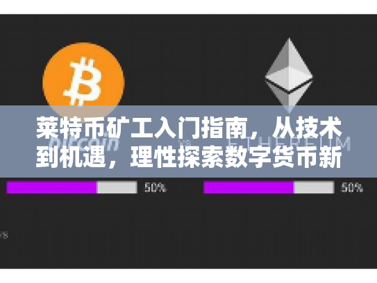 莱特币矿工入门指南，从技术到机遇，理性探索数字货币新世界