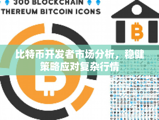 比特币开发者市场分析，稳健策略应对复杂行情