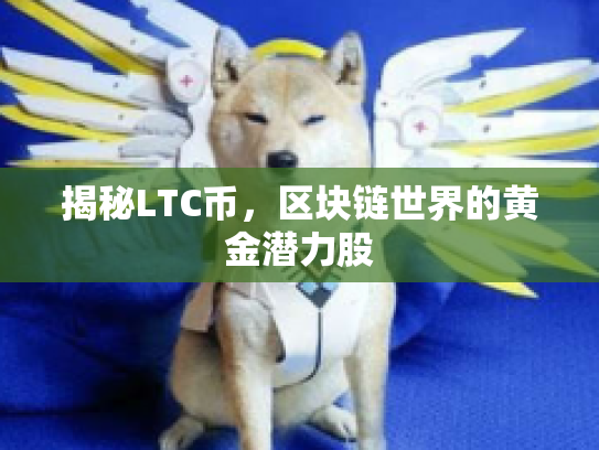 揭秘LTC币，区块链世界的黄金潜力股
