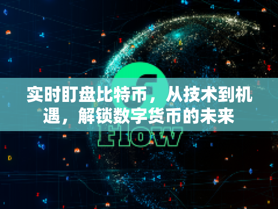 实时盯盘比特币，从技术到机遇，解锁数字货币的未来