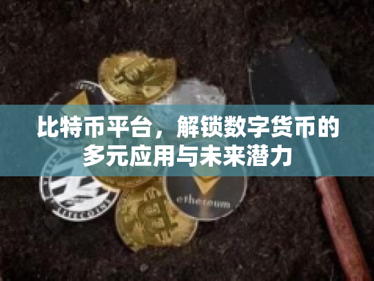 比特币平台，解锁数字货币的多元应用与未来潜力
