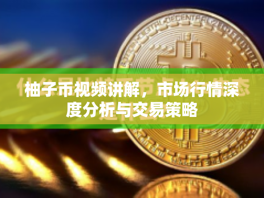 柚子币视频讲解，市场行情深度分析与交易策略