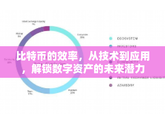 比特币的效率，从技术到应用，解锁数字资产的未来潜力