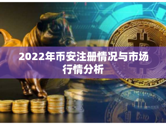 2022年币安注册情况与市场行情分析