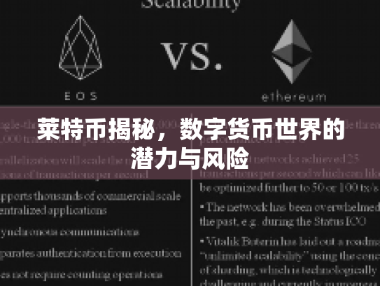 莱特币揭秘，数字货币世界的潜力与风险