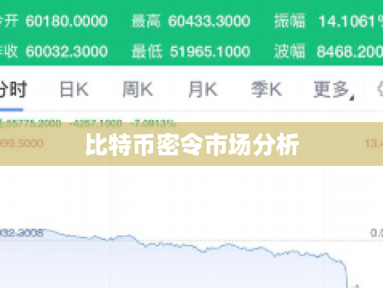 比特币密令市场分析