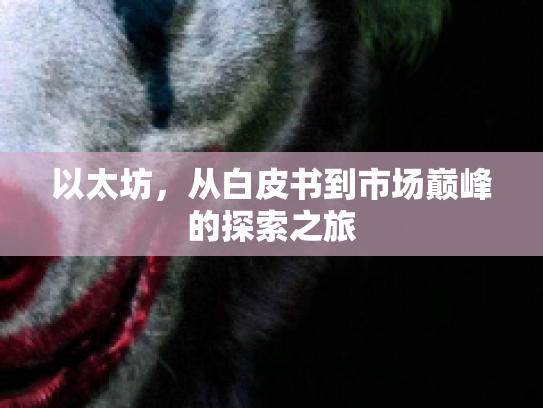 以太坊，从白皮书到市场巅峰的探索之旅