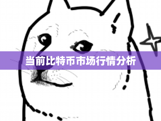 当前比特币市场行情分析