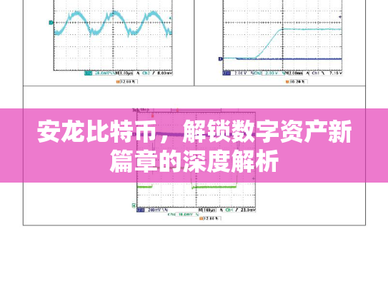 安龙比特币，解锁数字资产新篇章的深度解析