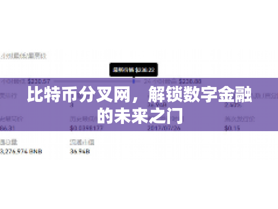 比特币分叉网，解锁数字金融的未来之门