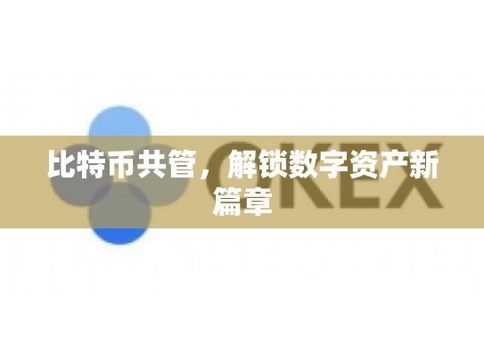 比特币共管，解锁数字资产新篇章