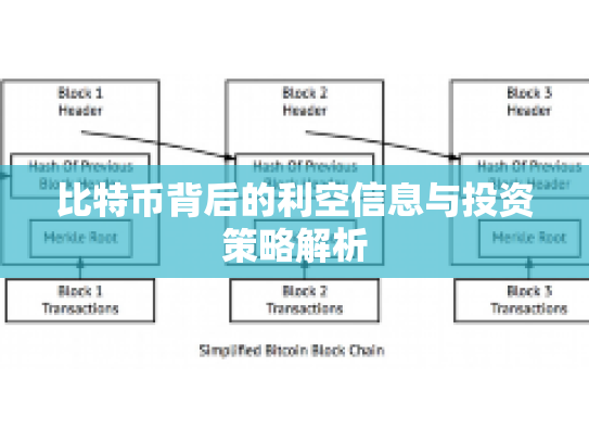 比特币背后的利空信息与投资策略解析