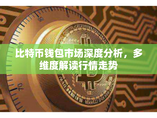比特币钱包市场深度分析，多维度解读行情走势