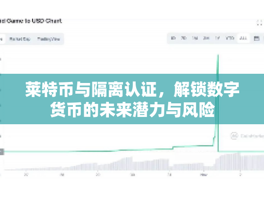 莱特币与隔离认证，解锁数字货币的未来潜力与风险