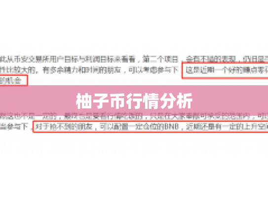 柚子币行情分析