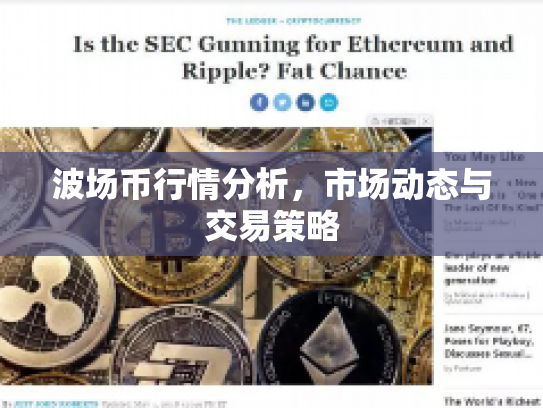 波场币行情分析，市场动态与交易策略