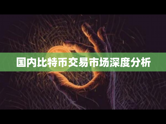 国内比特币交易市场深度分析