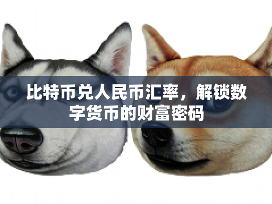 比特币兑人民币汇率，解锁数字货币的财富密码