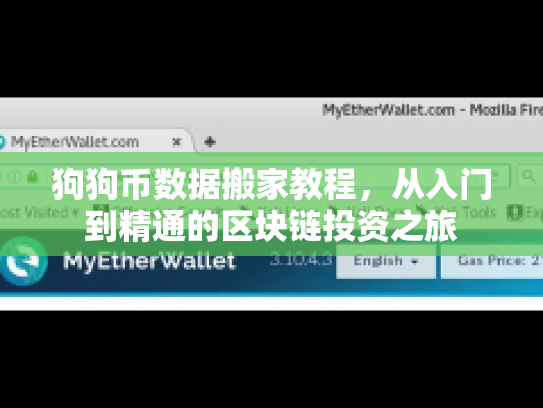 狗狗币数据搬家教程，从入门到精通的区块链投资之旅
