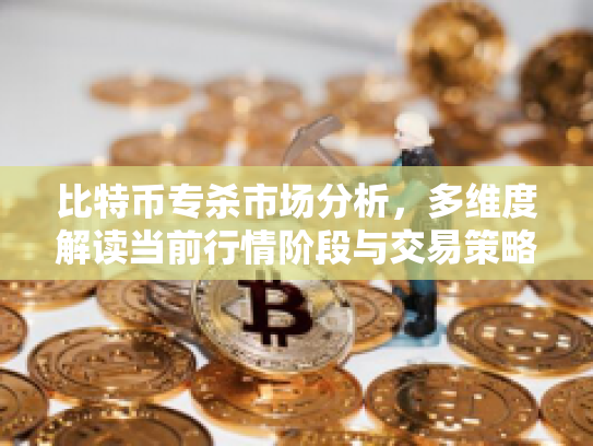 比特币专杀市场分析，多维度解读当前行情阶段与交易策略