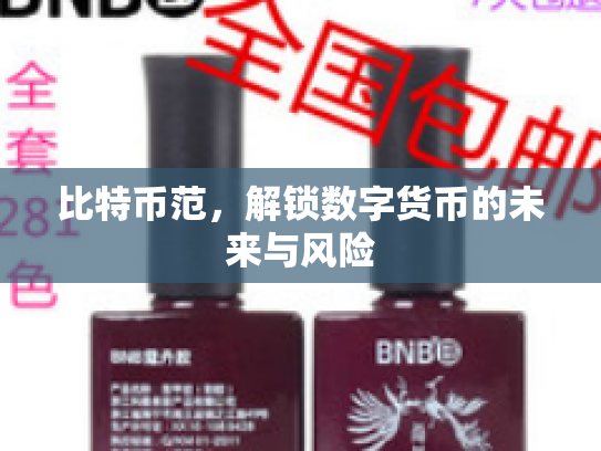 比特币范，解锁数字货币的未来与风险