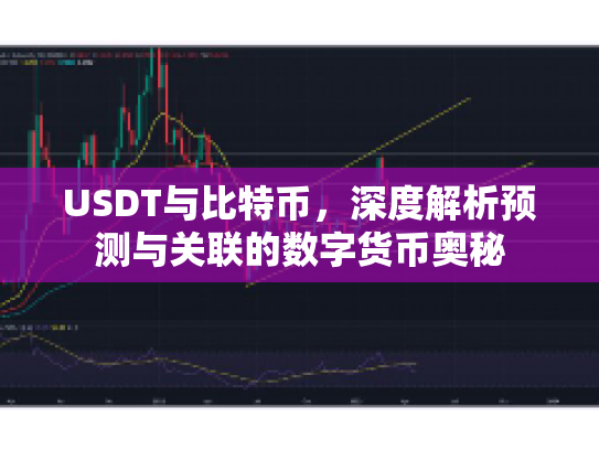 USDT与比特币，深度解析预测与关联的数字货币奥秘