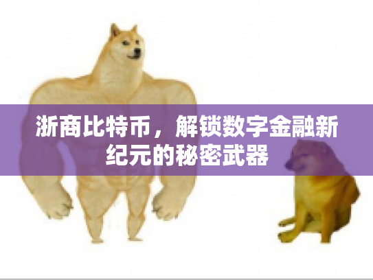 浙商比特币，解锁数字金融新纪元的秘密武器