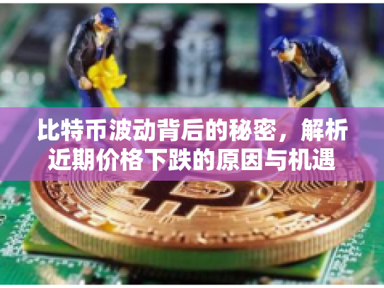 比特币波动背后的秘密，解析近期价格下跌的原因与机遇