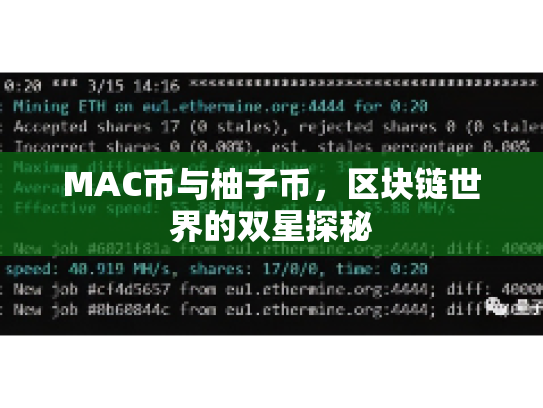 MAC币与柚子币，区块链世界的双星探秘