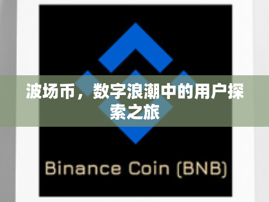 波场币，数字浪潮中的用户探索之旅
