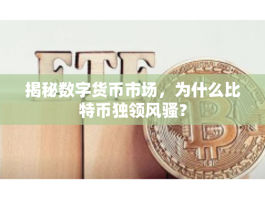 揭秘数字货币市场，为什么比特币独领风骚？