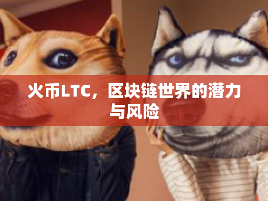 火币LTC，区块链世界的潜力与风险