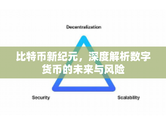 比特币新纪元，深度解析数字货币的未来与风险