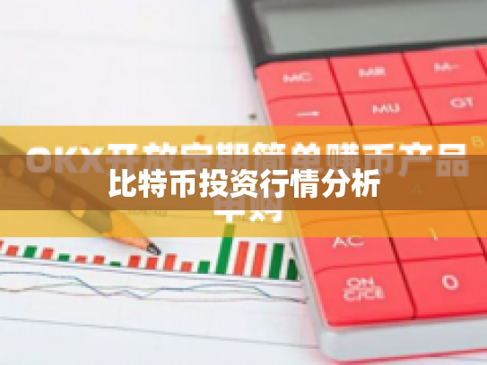 比特币投资行情分析