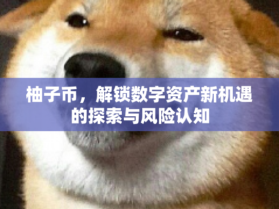 柚子币，解锁数字资产新机遇的探索与风险认知