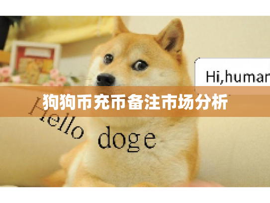 狗狗币充币备注市场分析