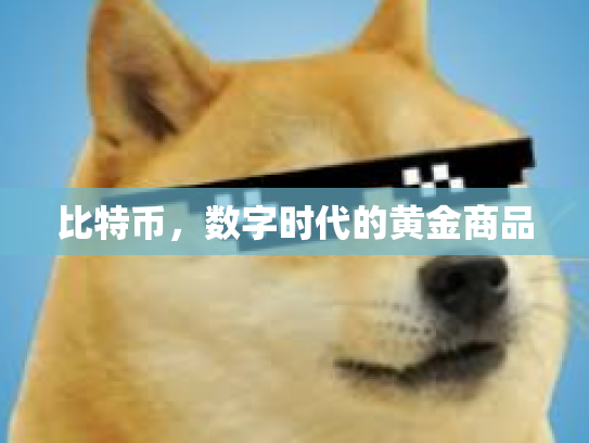 比特币，数字时代的黄金商品