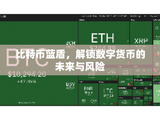 比特币蓝盾，解锁数字货币的未来与风险