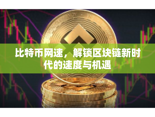 比特币网速，解锁区块链新时代的速度与机遇