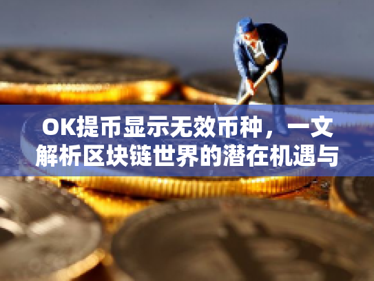 OK提币显示无效币种，一文解析区块链世界的潜在机遇与风险