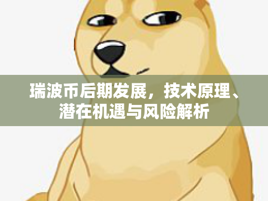 瑞波币后期发展，技术原理、潜在机遇与风险解析