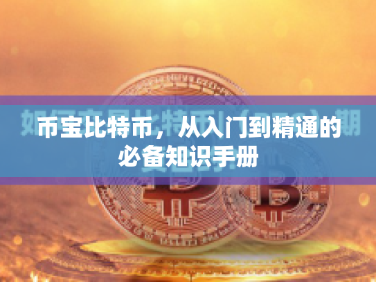币宝比特币，从入门到精通的必备知识手册