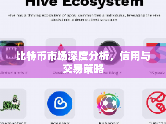 比特币市场深度分析，信用与交易策略