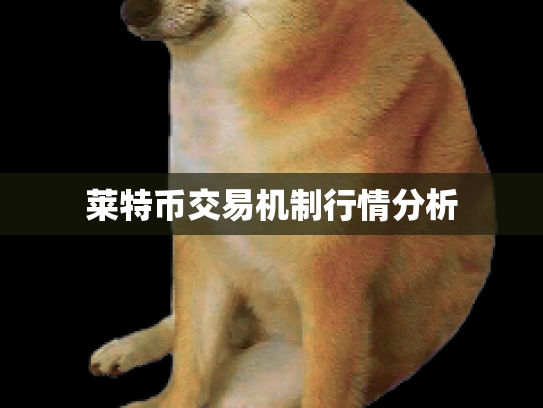 莱特币交易机制行情分析