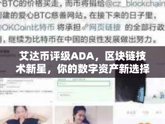 艾达币评级ADA，区块链技术新星，你的数字资产新选择