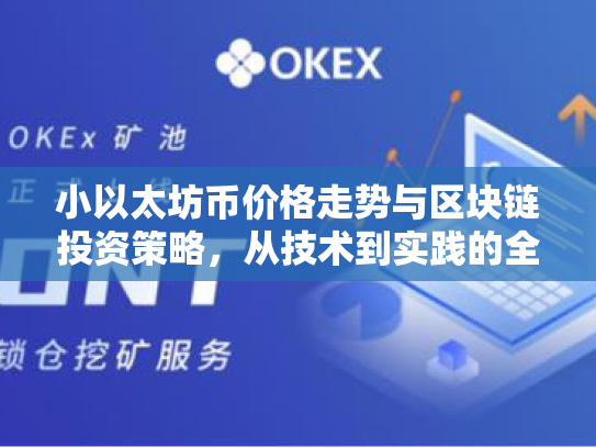 小以太坊币价格走势与区块链投资策略，从技术到实践的全面解析