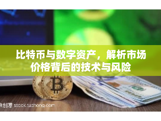 比特币与数字资产，解析市场价格背后的技术与风险