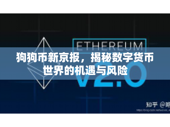 狗狗币新京报，揭秘数字货币世界的机遇与风险