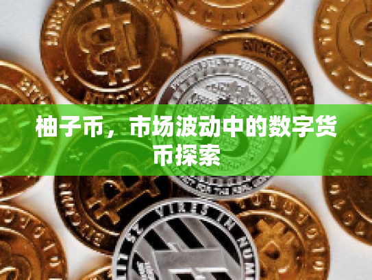柚子币，市场波动中的数字货币探索